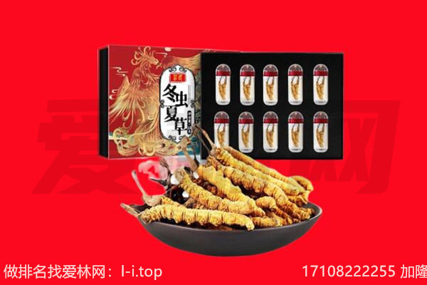 承德回收虫草.jpg